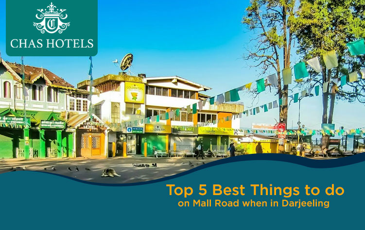 Top 5 Best Things to do on Mall Road when in Darjeeling