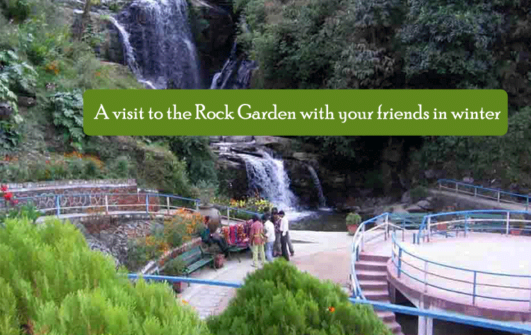 A visit to the Rock Garden with your friends in winter