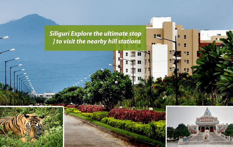 Siliguri- Explore the ultimate stop to visit the nearby hill stations
