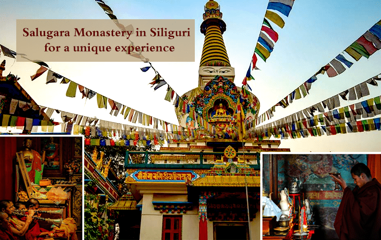 Visit Salugara Monastery in Siliguri for a Unique Experience amidst Tranquility