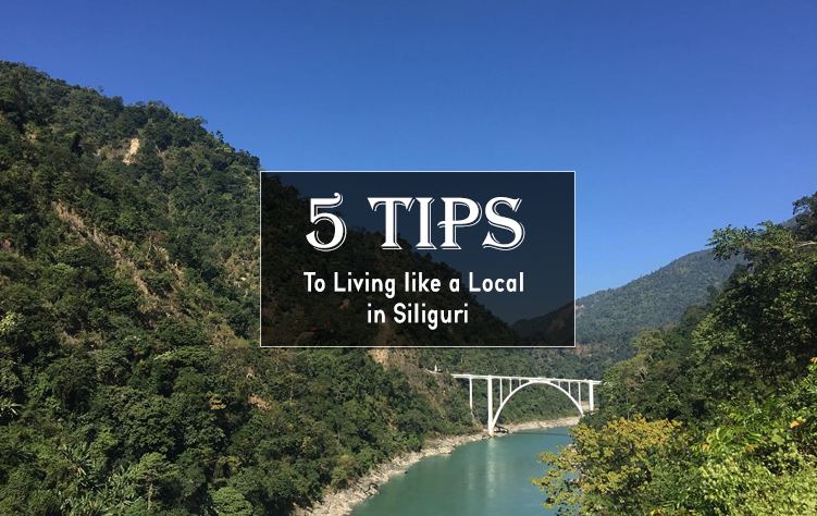 5 Tips To Living like a Local in Siliguri