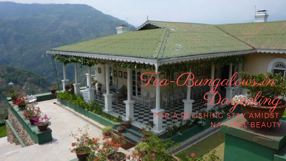 Tea-Bungalows in Darjeeling for a Relishing Stay Amidst Natural Beauty