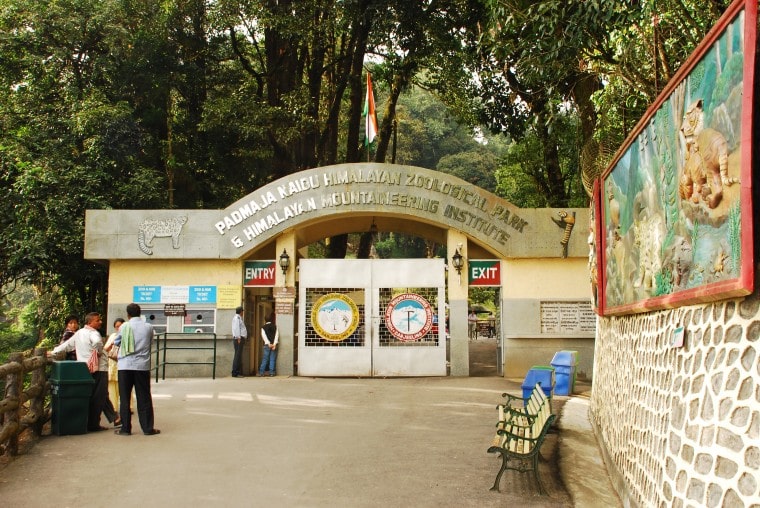 Himalayan Mountaineering Institute & Darjeeling Zoo