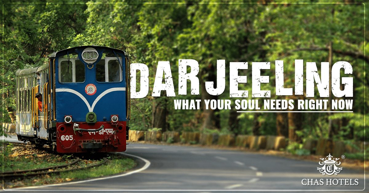 Darjeeling- What Your Soul Needs Right Now